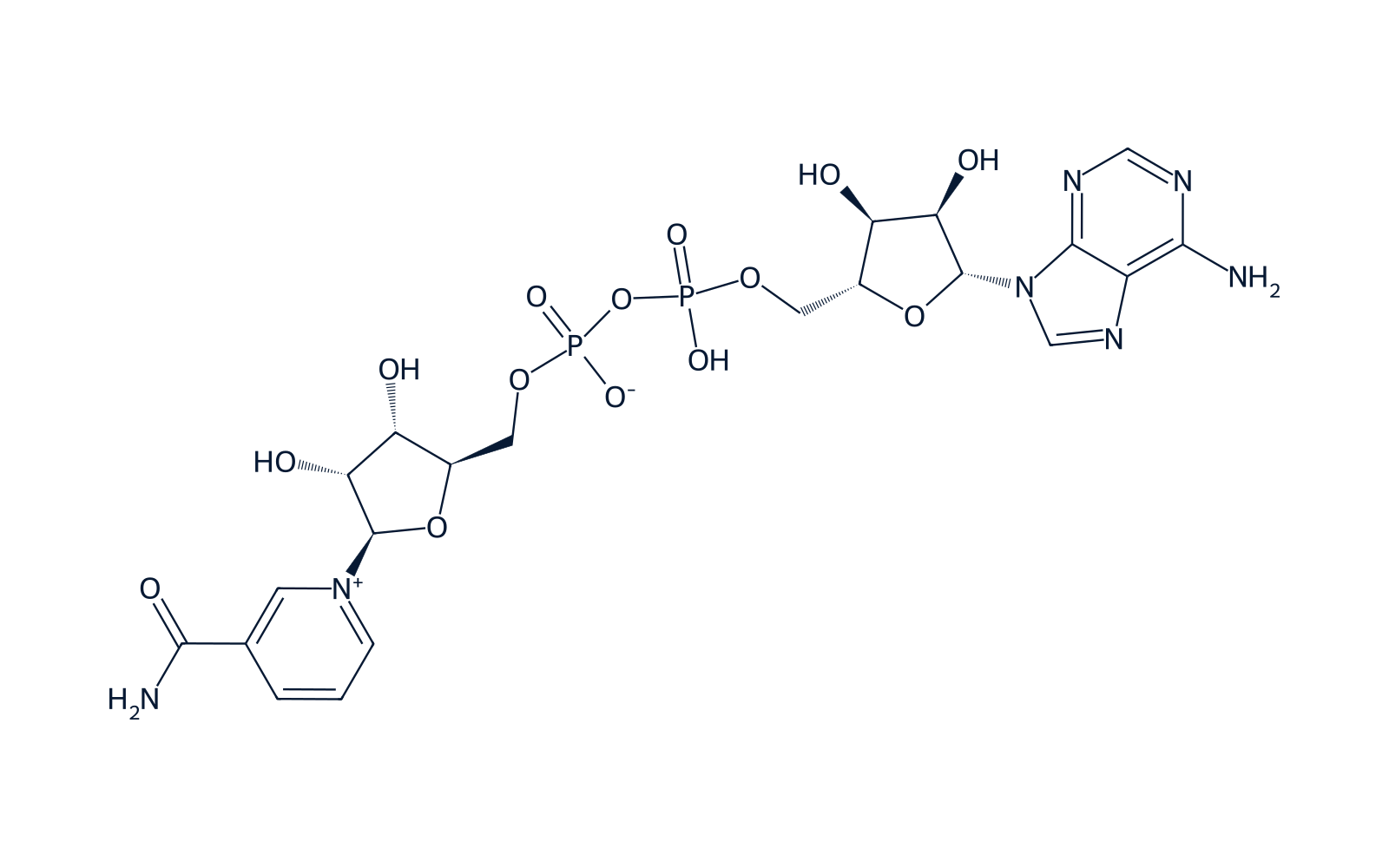 Chemical structure of NAD+